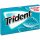 Trident Wintergreen