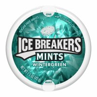 Ice Breakers Mints Wintergreen Sugar Free 42g
